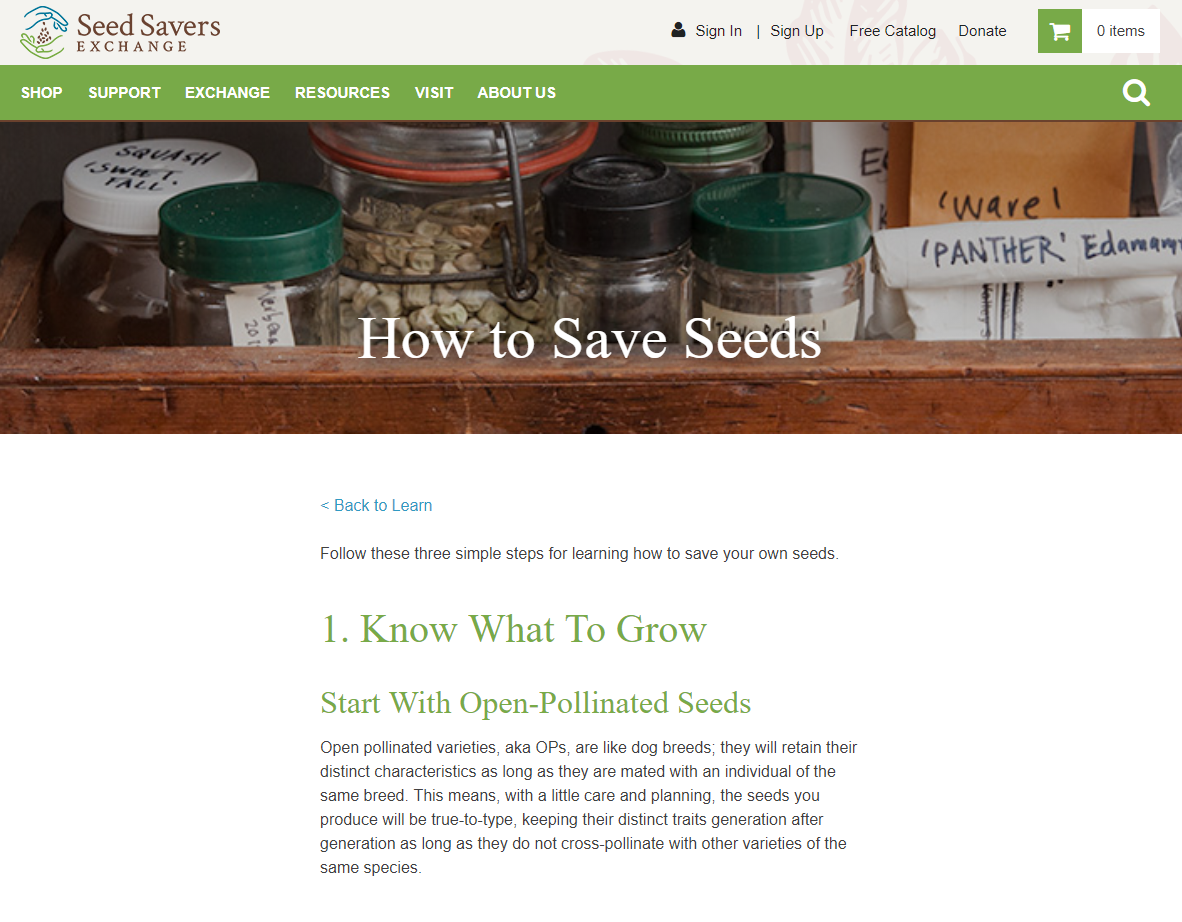 How to Store Seeds - SeedSavers
